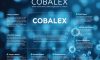 COBALEX Nedir, Neye Yarar, Nasıl Kullanılır