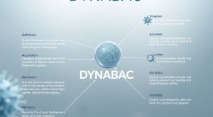 DYNABAC Nedir, Neye Yarar, Nasıl Kullanılır
